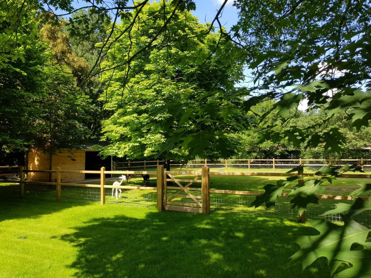 The Two Oaks - Private Garden For Guests Villa Hertsberge ภายนอก รูปภาพ