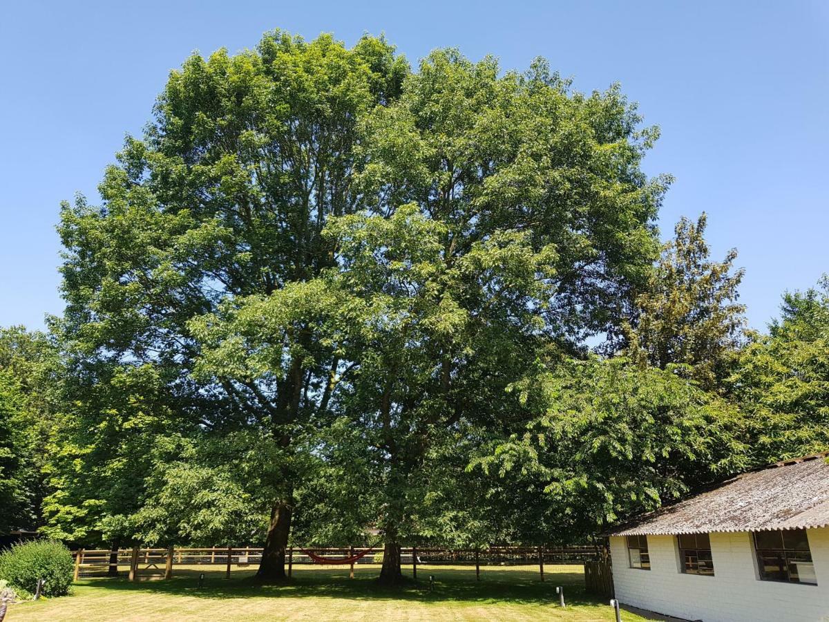 The Two Oaks - Private Garden For Guests Villa Hertsberge ภายนอก รูปภาพ
